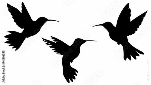 Three black hummingbirds flying in formation against transparent background