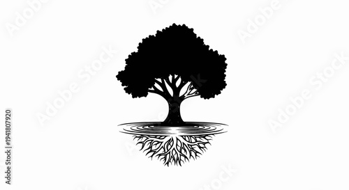 Silhouette of a mature tree with expansive roots in water