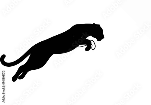 Silhouette of a panther in mid-air leap against a white backdrop