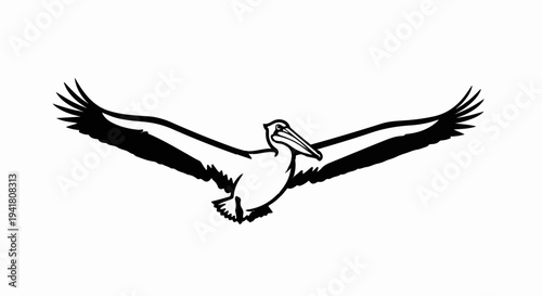 Silhouette of a pelican with wide open wings in flight against a white background