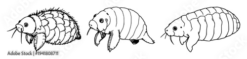 Microscopic tardigrade set with fine line art featuring biology detail, elegant thin lines, minimalist outline with illustration and vector