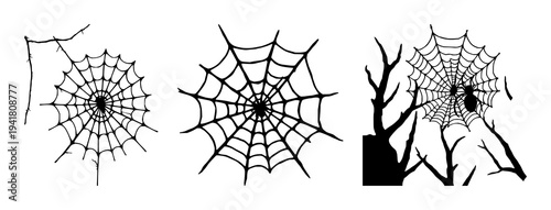 Spider web set with clean outlines and solid black silhouette featuring spooky nature theme, Halloween, arachnid with insect and corner