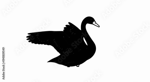 Silhouette of a black swan with wings spread in mid-action, black on white