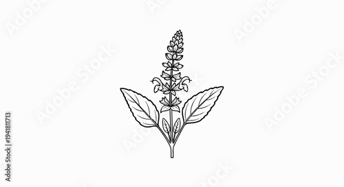 Simple black and white illustration of a flowering plant stem with leaves