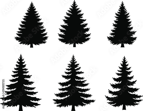 Set of black pine and fir tree silhouettes isolated on white background for forest and nature design