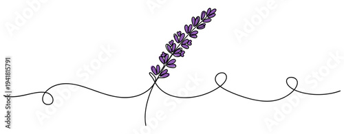 Lavender sprig leaning on continuous single line drawing