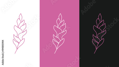 Aesthetic Heliconia Flower Line Vector Illustration for Beauty Spa Logo and Floral Design