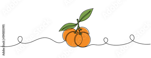Pair of oranges with leaves placed on continuous line background