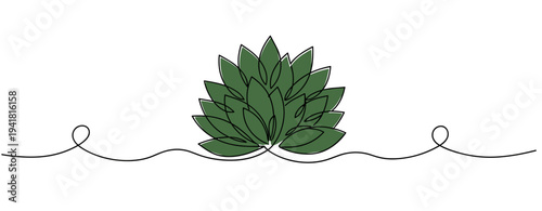Lotus leaves arranged resting on simple white background