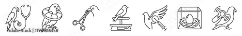 Avian medicine and bird veterinary clinic service icons with parrot checkup surgery and incubation set on a transparent background.