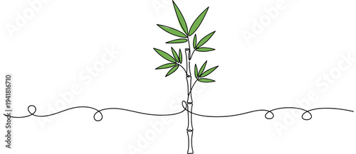 Bamboo stalk sprouting with leaves on continuous line