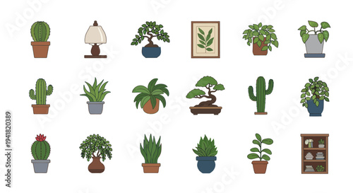 Collection of Potted Houseplants and Decorative Items.