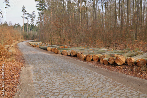 Stammholz liegt am Waldrand an einer Pflasterstraße