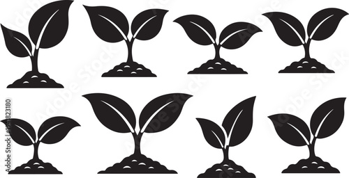 Black and white illustration of growing plants and seedlings