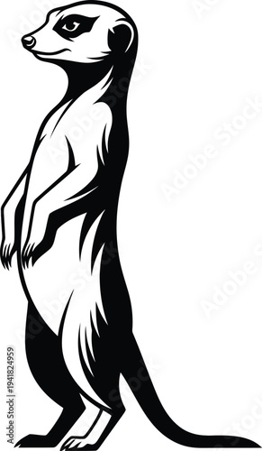 Meerkat Silhouette Standing Guard Alertly on Hind Legs African Wildlife Sub-Niche Desert Animal