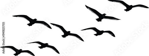 Black silhouette birds in flight vector illustration, V-formation design, migratory flock artwork, decorative nature drawing, creative wildlife composition, educational ornithology graphic