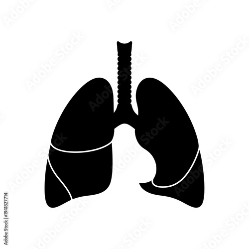 Human Lungs Silhouette Illustration for Medical Purposes.