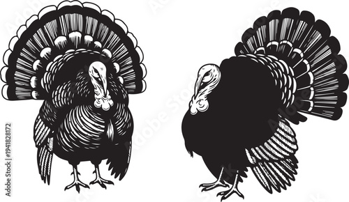 Black and white turkeys in different poses illustration