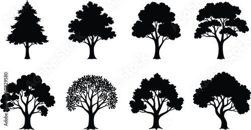 Set of deciduous and evergreen tree silhouettes isolated on white background featuring varied natural canopy shapes for design use