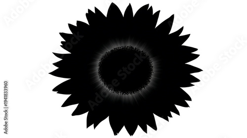 A striking silhouette of a sunflower against a blank backdrop, its petals radiate outward