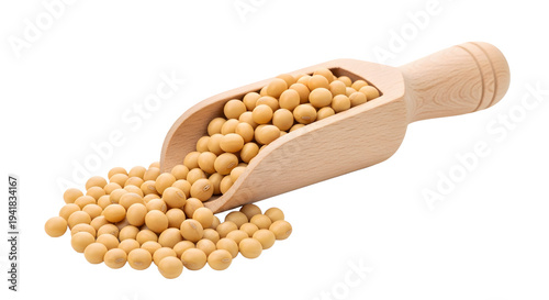 Raw organic soybeans in a wooden spoon. Side view of organic soybeans with close-up details of the beans. Healthy plant-based protein source. Transparent background.