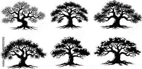Set of Detailed Black Banyan Tree Silhouette Logos with Spreading Roots and Lush Canopy for Nature Branding