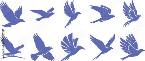 Flying bird silhouette wildlife nature freedom wing animal vector icon set