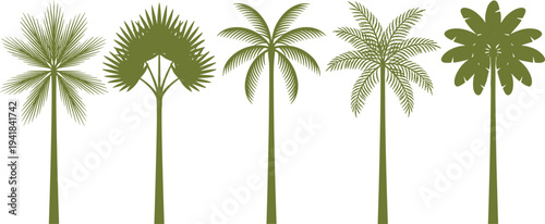 Tropical palm trees silhouette collection, different exotic palm tree shapes isolated, botanical nature vector illustration set for summer design