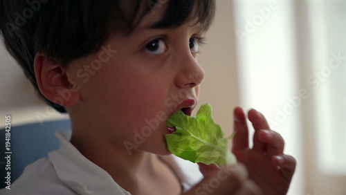 Canvas Print Young boy eating lettuce with slight reluctance, mild disgust expression, health
