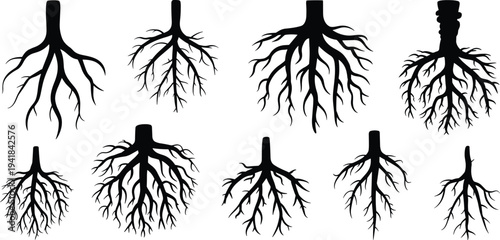 Successful young professional businessman working on laptop in modern bright cafe, remote work concept, digital nomad lifestyle, freelance career, productivity, technology.