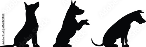 Successful young professional businessman working on laptop in modern bright cafe, remote work concept, digital nomad lifestyle, freelance career, productivity, technology.