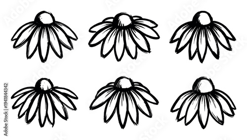 Six black ink sketch style daisy flowers hand-drawn with expressive, textured brushstrokes in a simple, monochrome botanical illustration collection