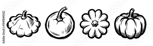 Set of four hand-drawn pumpkins and gourds in a black ink brush style illustration for autumn harvest and Halloween themes, showing different shapes and perspectives in a row