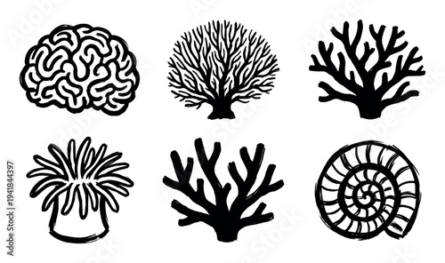 Set of six black hand-drawn coral icons including brain coral, sea anemone, and an ammonite shell in a rough brushstroke style for a marine or underwater theme