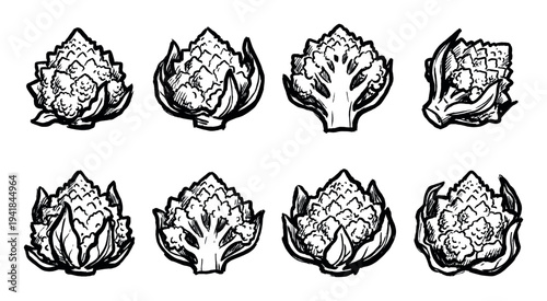 Set of hand-drawn Romanesco broccoli illustrations in a bold black ink brush stroke style showing the whole vegetable and cross-section views for a graphic culinary concept