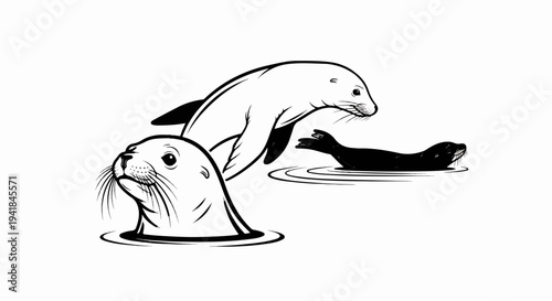 Three seals emerge from water, one dark, two light