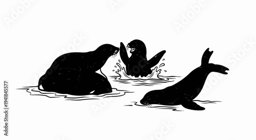 Three seals frolicking in the water, one splashing playfully