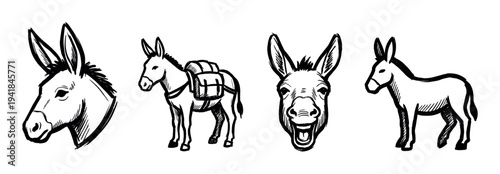 Four hand-drawn black and white donkey illustrations showcasing various poses including a side profile, a braying front view, and one carrying traditional saddlebags in a rustic sketch style