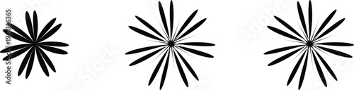 Three black radial shapes on a white background resembling stylized flowers or explosive blasts