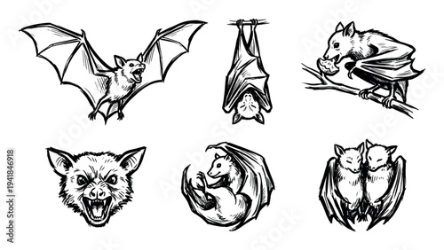 Six distinct hand-drawn bat illustrations depict various poses and expressions, including flying, hanging, eating, and an angry face, rendered in a classic ink sketch style