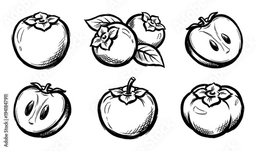 Set of hand-drawn persimmon fruit illustrations showing whole, sliced, and grouped kaki with leaves, depicted in a minimalist black and white ink sketch vector art style