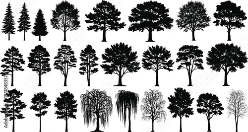 Set of various tree silhouettes isolated on white background featuring deciduous and conifer shapes for design projects