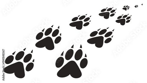 A vector graphic illustration of black animal paw prints in a trail on a white background