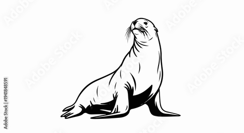 Stylized black and white illustration of a seal