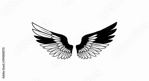 Stylized black and white illustration of feathered wings spread wide