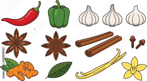 Cooking spices vegetables ingredients collection, chili pepper garlic cinnamon star anise vanilla turmeric herbs, kitchen seasoning vector illustration set