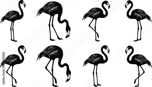 Set of silhouette flamingo icons in various poses, isolated on a white background, perfect for tropical and summer design projects.