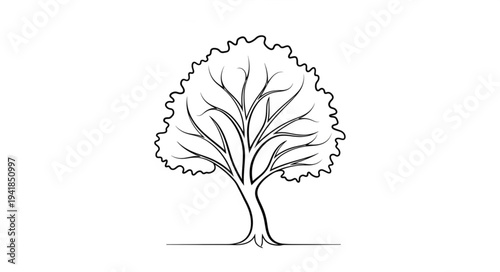 Detailed Line Drawing of a Mature Tree with Full Canopy.