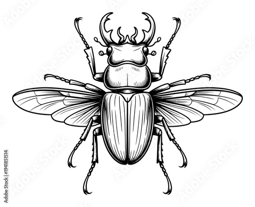 Detailed Black and White of a Stag Beetle with Wings Spread