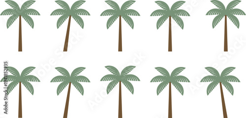 Tropical palm tree collection vector illustration coconut palm icons isolated summer beach nature plant set design